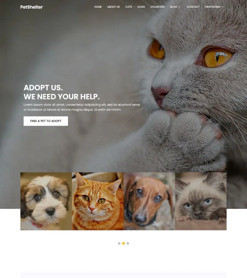 Pet Shelter Veterinarian template