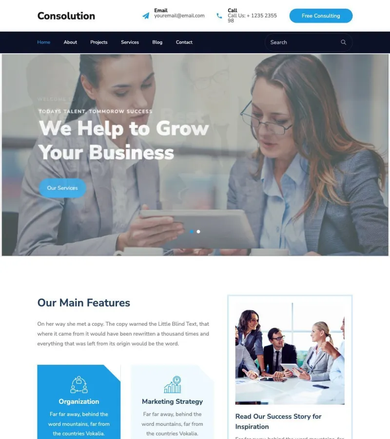 Consulotion website template desktop screenshot