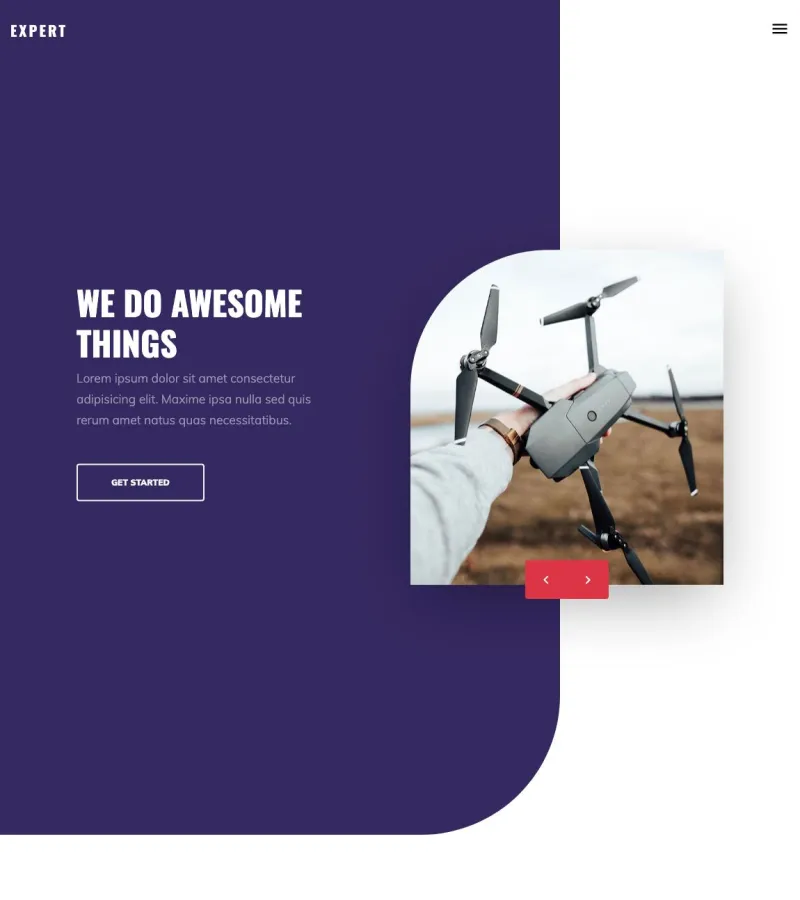 expert website template desktop screenshot