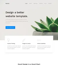 atomic mini website template desktop screenshot