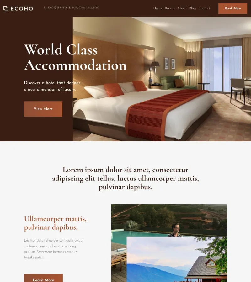 Ecoho Marketing Agency template