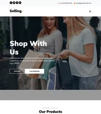 selling mini website template desktop screenshot