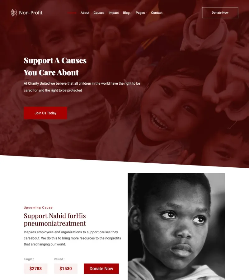 Nonprofit Landing Page template