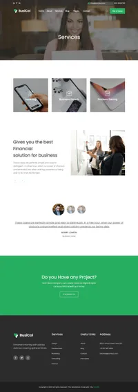 busicol mini website template desktop screenshot