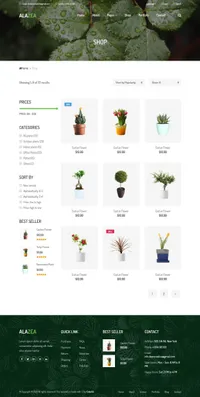 alazea mini website template desktop screenshot