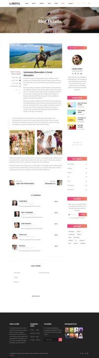 lawful mini website template desktop screenshot