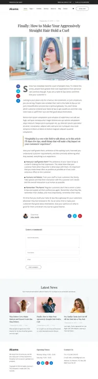 akame mini website template desktop screenshot