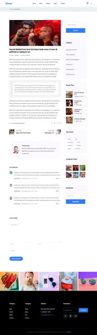winter mini website template desktop screenshot