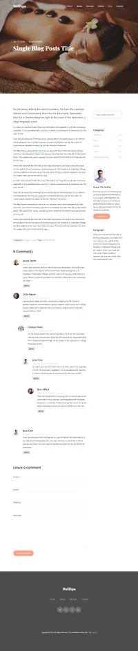 wellspa mini website template desktop screenshot