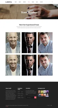 lawful mini website template desktop screenshot